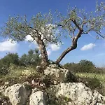 La Casetta - Affitti Brevi *