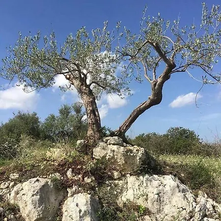 La Casetta - Affitti Brevi *